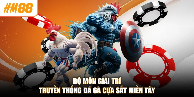 Bộ môn giải trí truyền thống đá gà cựa sắt Miền Tây