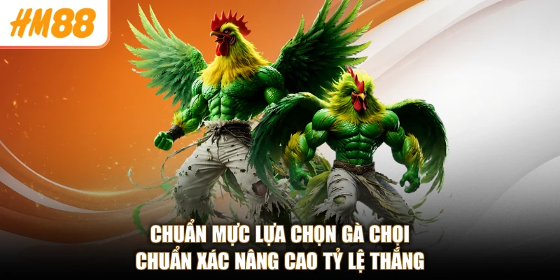 Chuẩn mực lựa chọn gà chọi chuẩn xác nâng cao tỷ lệ thắng
