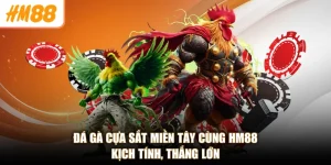 Đá Gà Cựa Sắt Miền Tây Cùng HM88 - Kịch Tính, Thắng Lớn