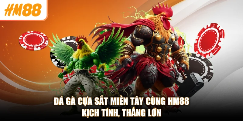 Đá Gà Cựa Sắt Miền Tây Cùng HM88 - Kịch Tính, Thắng Lớn
