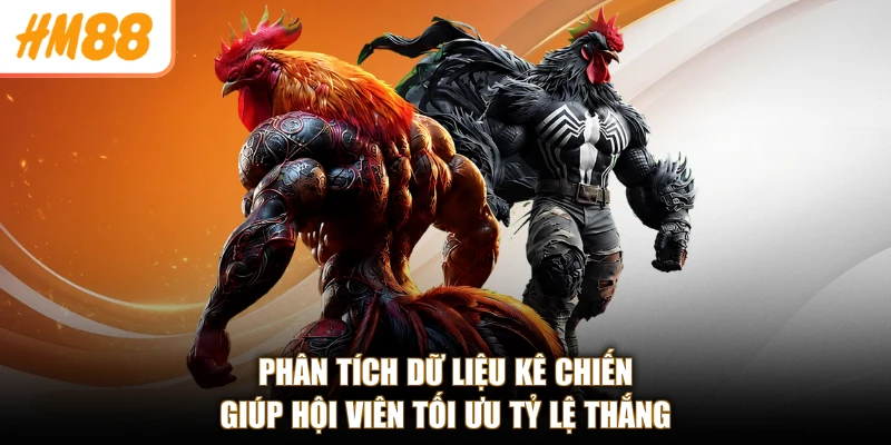 Phân tích dữ liệu kê chiến giúp hội viên tối ưu tỷ lệ thắng