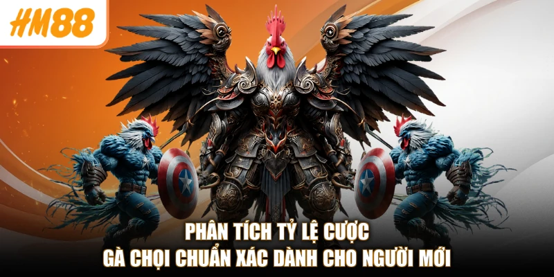 Đá Gà HM88 3 Phân tích tỷ lệ cược gà chọi chuẩn xác dành cho người mới
